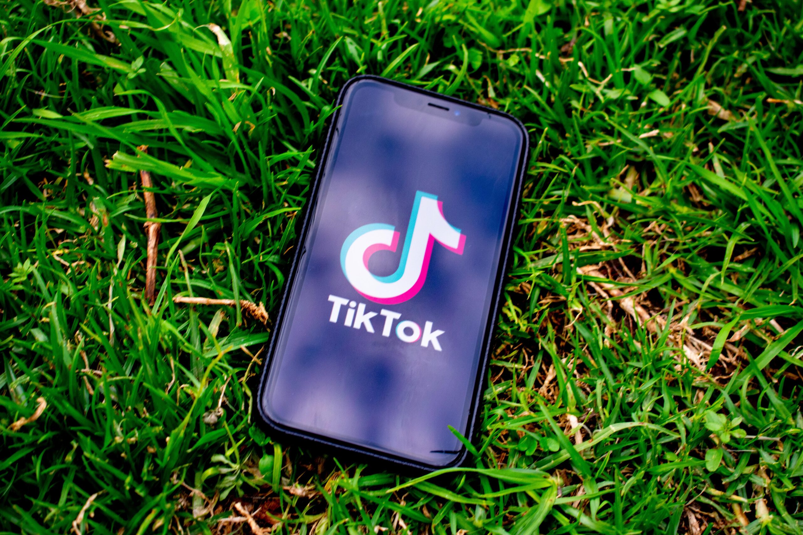 viral on TikTok with how many views